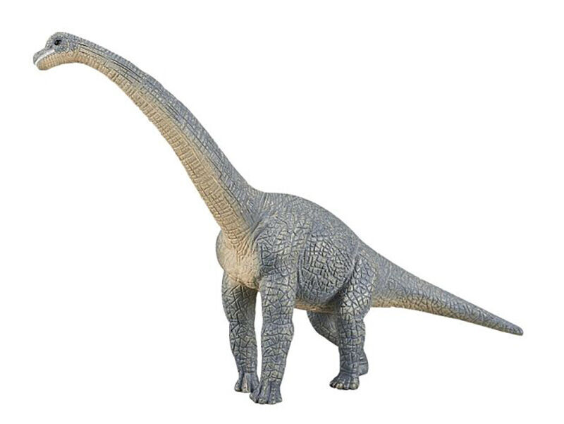 Mojo Brachiosaurus